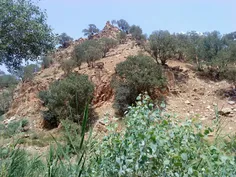 چشمه بی ثمر روستای ریکا کوهدشت،  ارسالی توسط خانم سوری