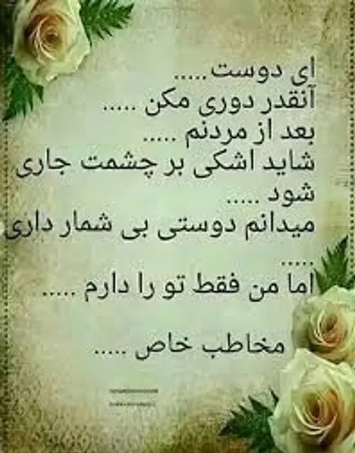  mohammad_jafari 68945478 - عکس ویسگون