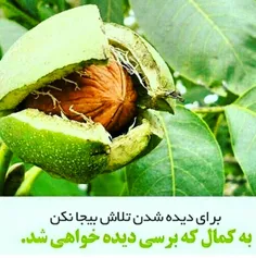 عکس نوشته farhankodajoo 25128240