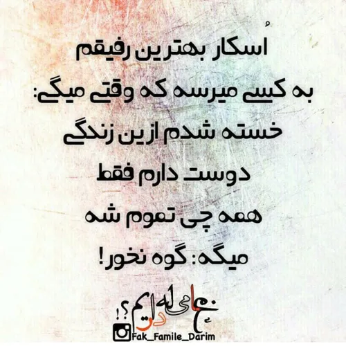 رفیق ناب 😉