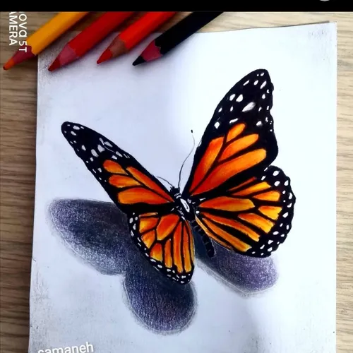 پروانه تکنیک مداد رنگی