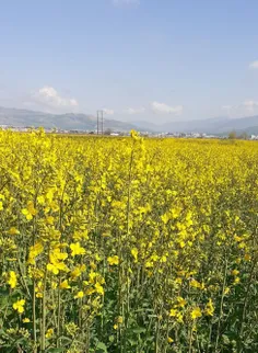 طبیعت کلاله همین الان در راه مسجد🙏😇