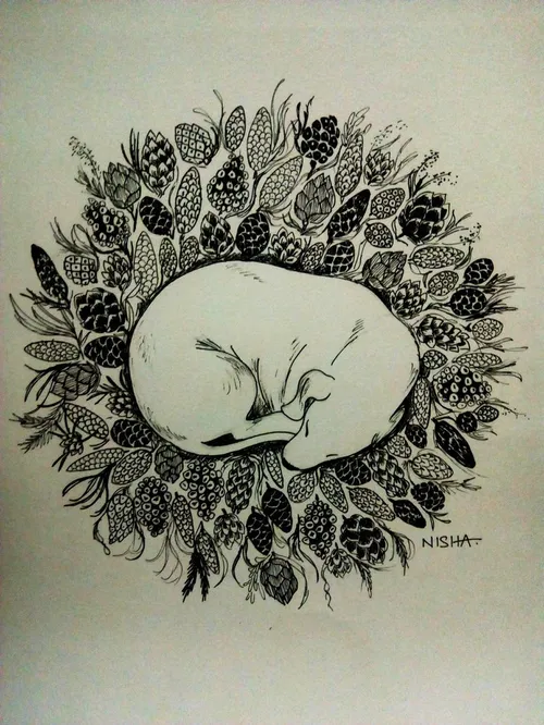 autumn dog ink inkdrawing pinecones sleepingdog inktober 