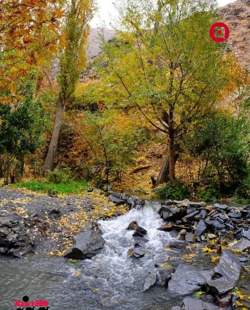 رودخونه و طبیعت زیبای زُشک