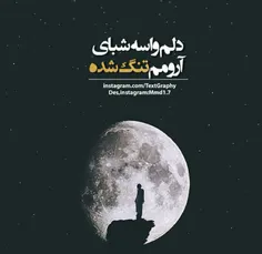 دلتنگ که میشوم 