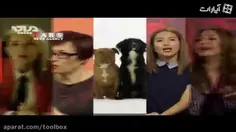 🐶سگ فرزندی🐶