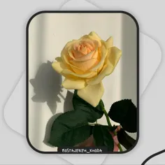 💜☃️#معشوقه‌ی‌زمستان☃️💜