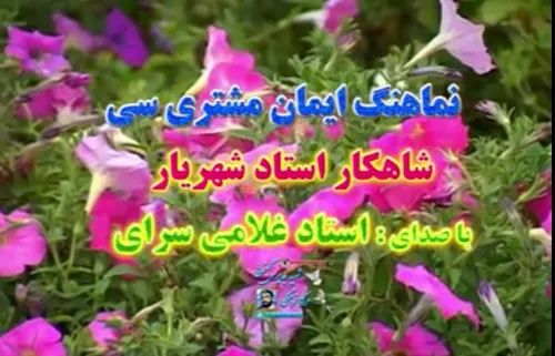 نماهنگ ایمان مشتری سی