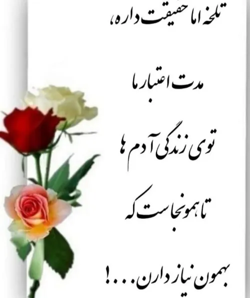  s.nwsad 54241806 - عکس ویسگون