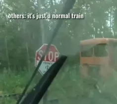 قطار کوچکی که همراه با مسافرینش ناپدید شده بود دیده شد!!!