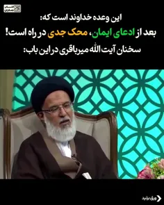 بعد از ادعای ایمان،محک جدی در راه است
آیت الله میرباقری