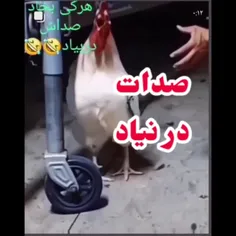 صدات در نیاد....میخورمت🤣🤣🤣🤣🤣🤣🤣🤣