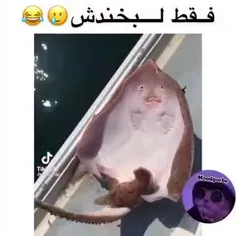 ماهیه چه بامزه است😍😐