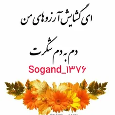 sogandam_76_13 49971898