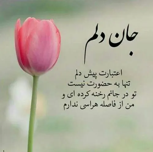 عکس نوشته مطلب