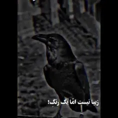 خیلی قشنگه🖤