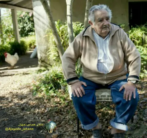 رئیس جمهور سابق اروگوئهJose Mujicaساده ترین رئیس جمهورجها