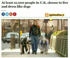 🔻‏بیش از 10000 شهروند انگلیسی تبدیل به «انسان سگ‌نما» شده