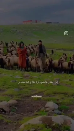 با افتخار کوردم❤️❤️😍😍