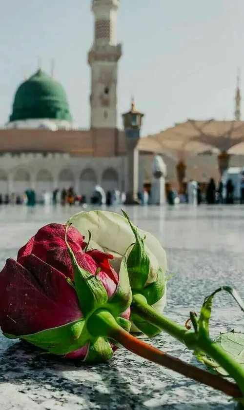 یاخاتم الانبیاء💚 •~°