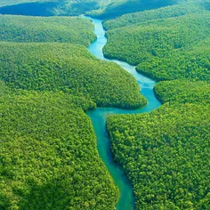 در تمام طول رودخانه آمازون حتی یک پل از سمتی به سمت دیگر 