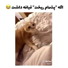 جر فقط