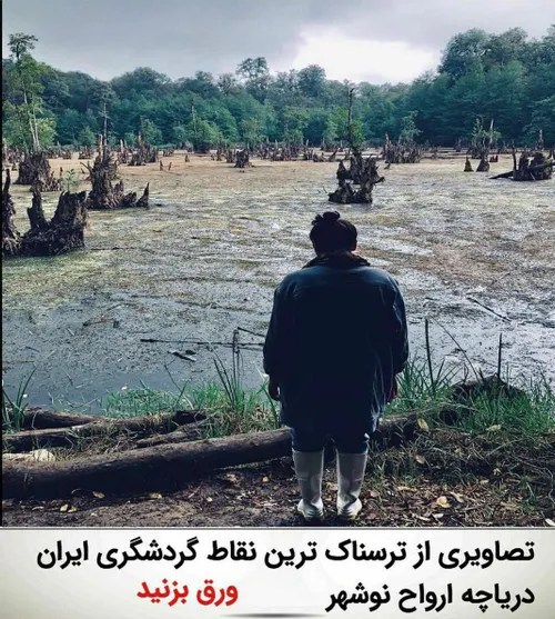 خلاقیت هنر عکاسی ایران
