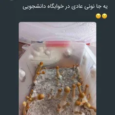 پیج خودتون رو فالو کنید