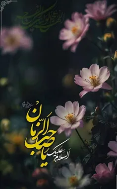 🖤 سلام‌ امام‌ زمان 🖤