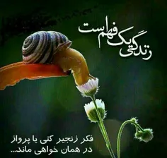 تنها خوبی است که می ماند