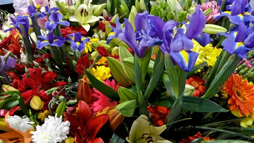 تقدیم به همه ی بچه های گل ایرانی .