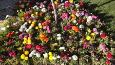 باغ گل های اصفهان ( عکاس خودم )