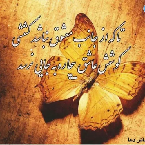 تا که از جانب معشوقه نباشد کِششی