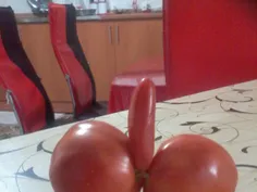 گوجه ی مااا!!!