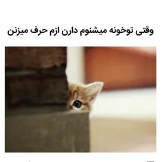 شخصی meylove 23932053