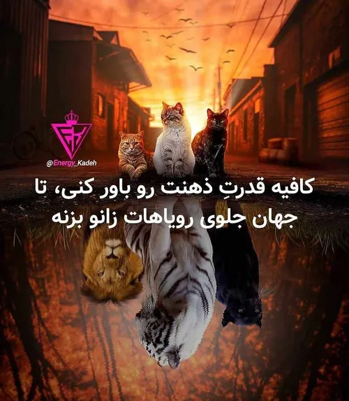 تکست ناب