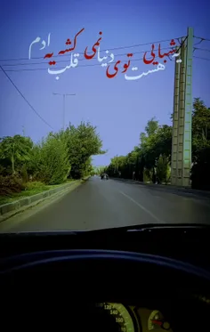 شیراز بلوار مولوی 