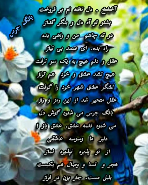 بلبل مست شعر غزل فارسی