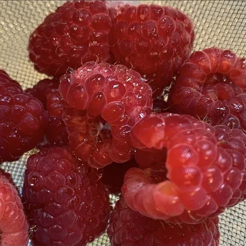 جهت ناز شدن باغچه🍓✷