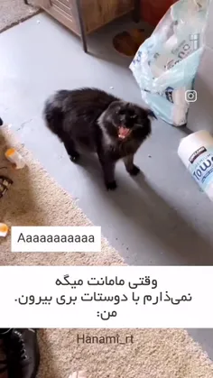 بسهههه دیگه !