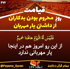 #قران #قرآن #قرآن_کریم #قران_کریم #القرآن #القران_الکریم 