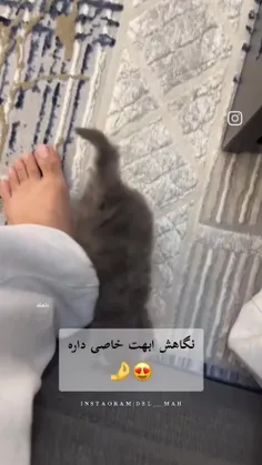 فقط منم که روش کراش زدم؟🎀😭