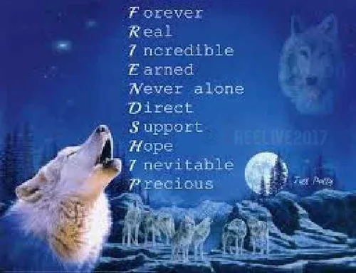 با گرگها دوستی کن!