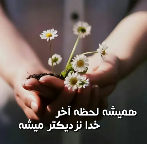 🌼 نمی ترسم اگہ گاهی