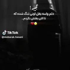 دلم برای کسی تنگ شده که نمیشه اونو خواست نمیشه اونو داشت 