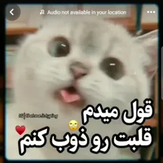 قشنگ ترین ویدیویی بود که دیدم 🥲❤