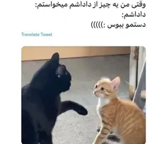 بگید ک تنها نیستم💔🤣🤣