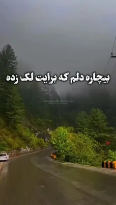 بیچاره دلم که برایت لک زده 🖤