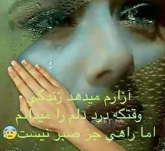 گوناگون zarijonam 23148123