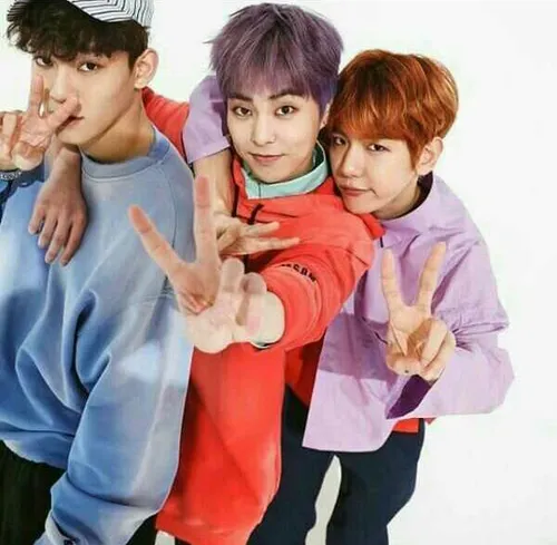 Cbx EXO